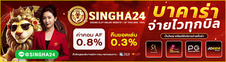 พาร์ทเนอร์ 11